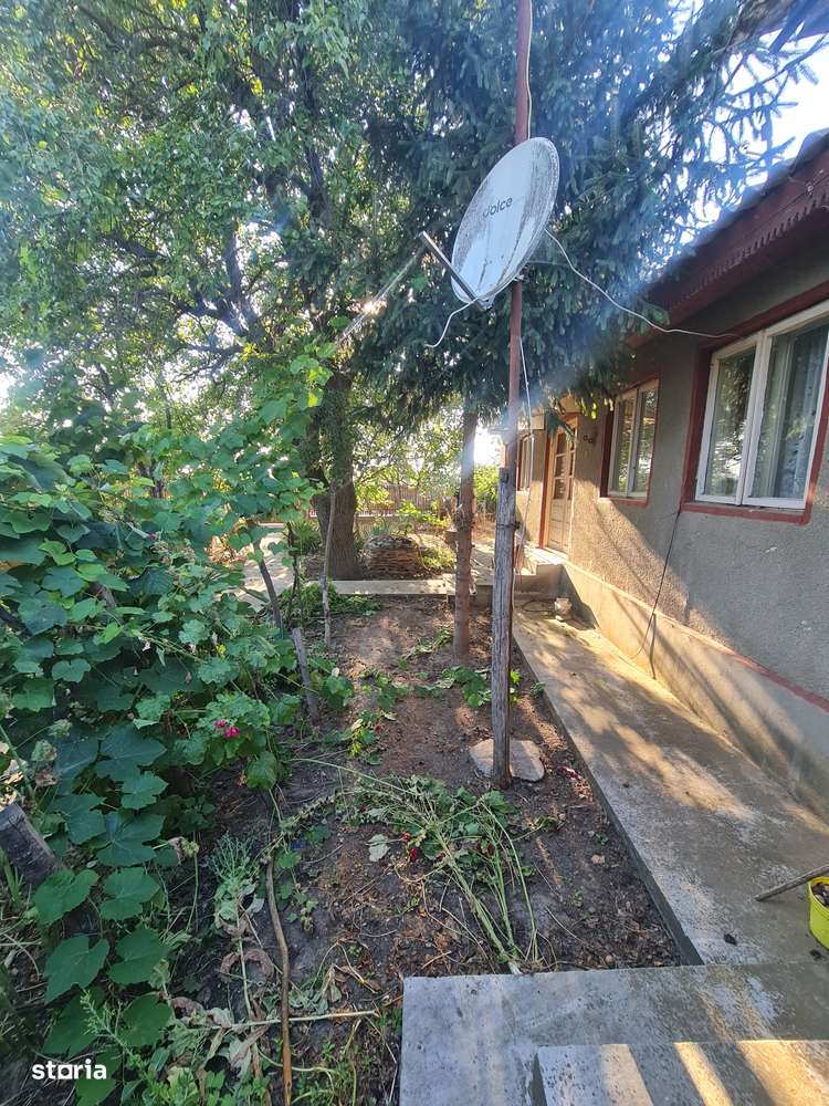 Ceamurlia de Jos- zona centrala- casa locuibila-4