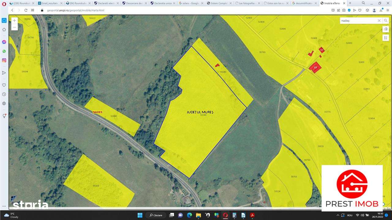 Teren agricol 4.2 ha Nades-Mures 2 euro mp - Imagine principală: 5/5