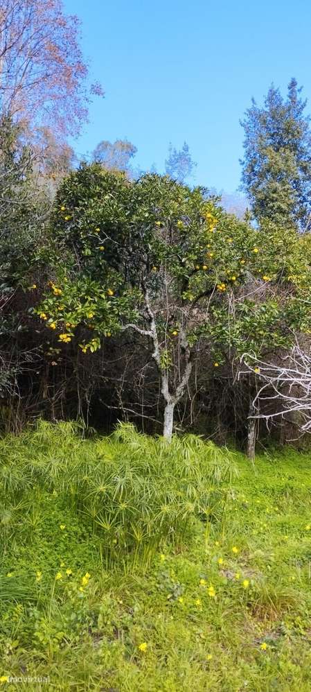 Terreno Urbano em Castelo Viegas - Grande imagem: 5/13