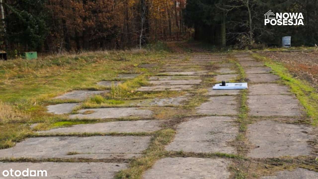 HALE MAGAZYNOWE 1300 m²  PLUS Ziemia Rolna 2 ha-3