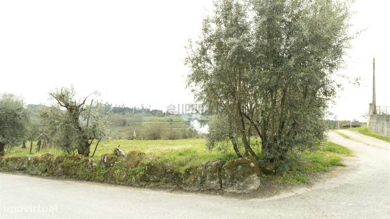 Terreno para Construção - Silgueiros - Grande imagem: 3/10
