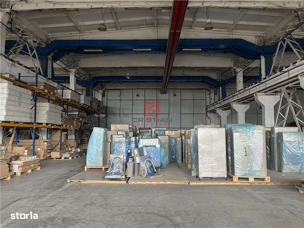 Vanzare haladepozitspatiu industrial Basarabia - Faur-3