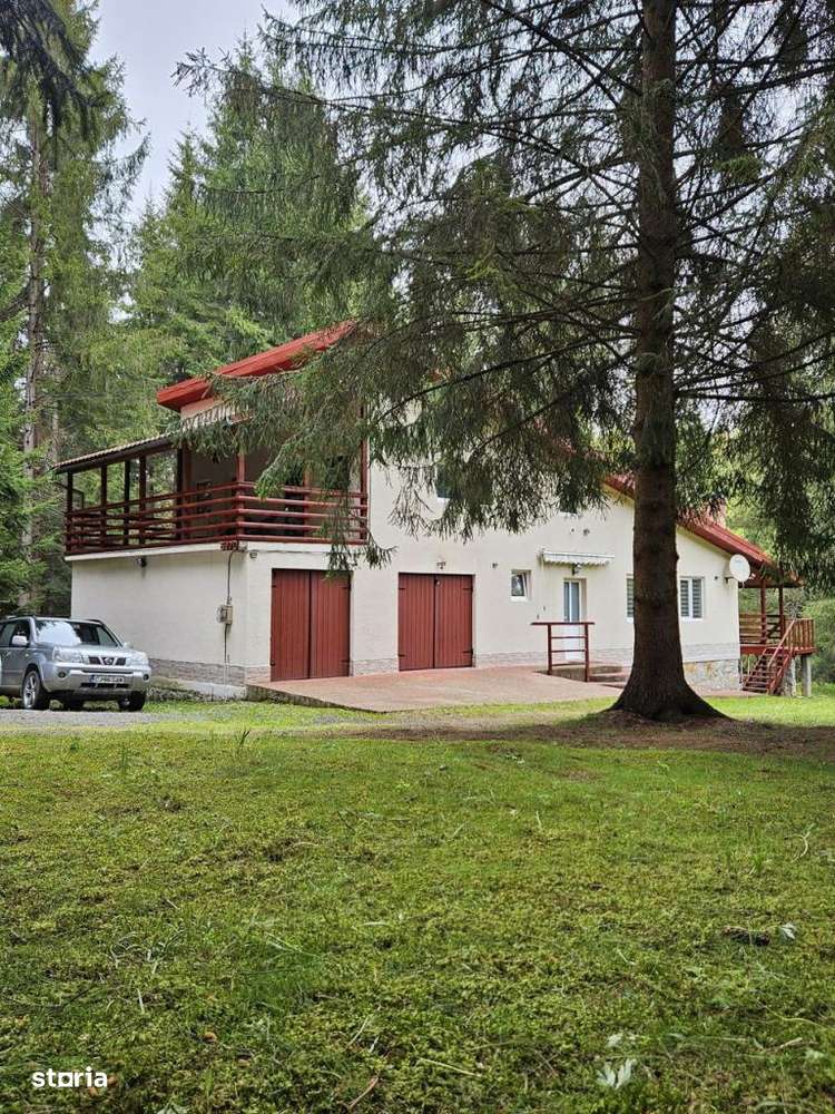 Casa de vacanta spatioasa in Calatele Padure – Dealul Negru, teren 2