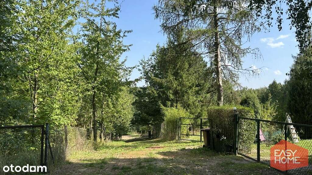 Cudowne miejsce w pobliżu jeziora i lasu-1