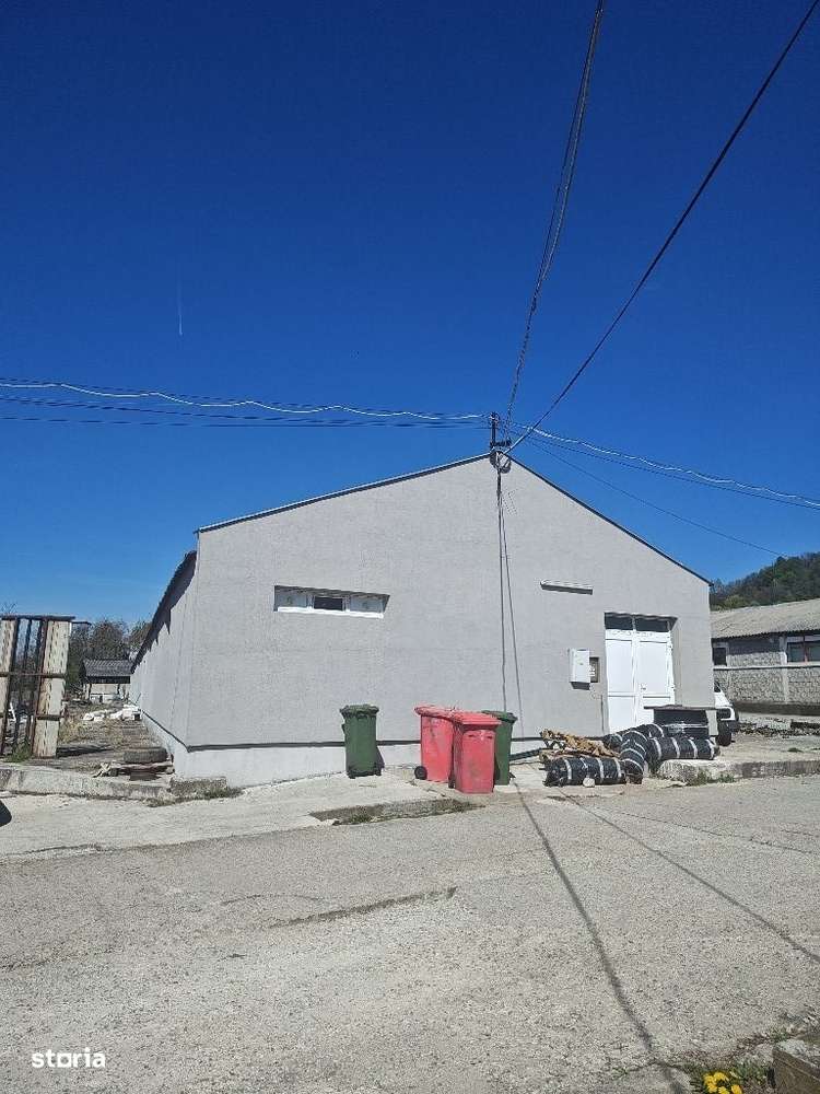 Hala la cheie / Zona Vladesti / - Imagine principală: 1/5