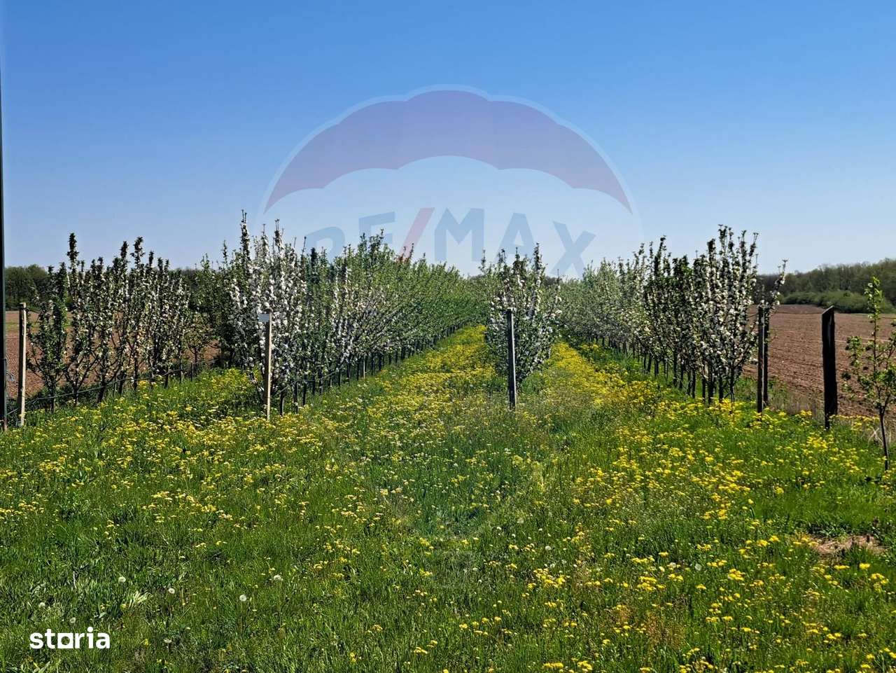 Vanzare teren Livada - Ferma Arges - Izbasesti / DN 142 langa Pitesti - Imagine principală: 5/13