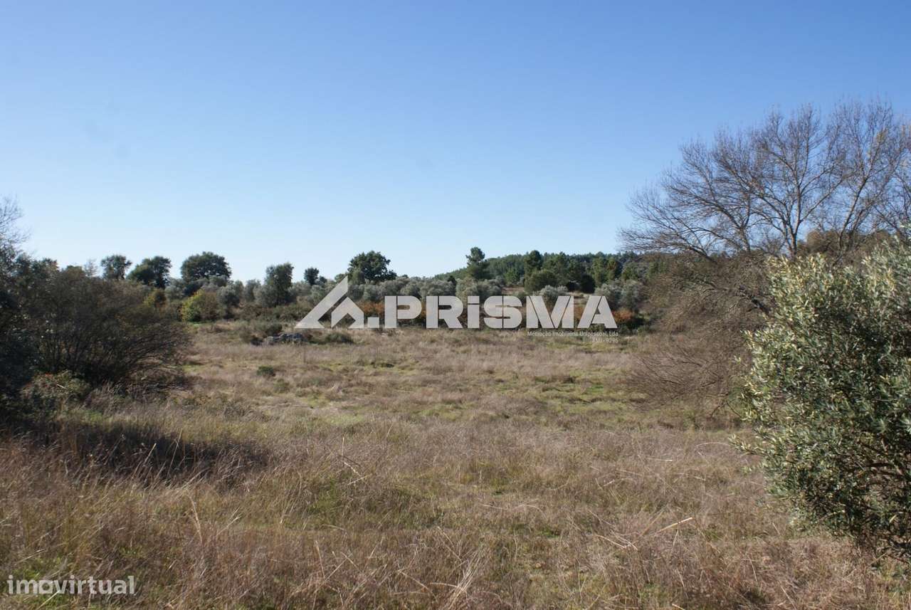 Oportunidade Única às Portas de Castelo Branco!-6