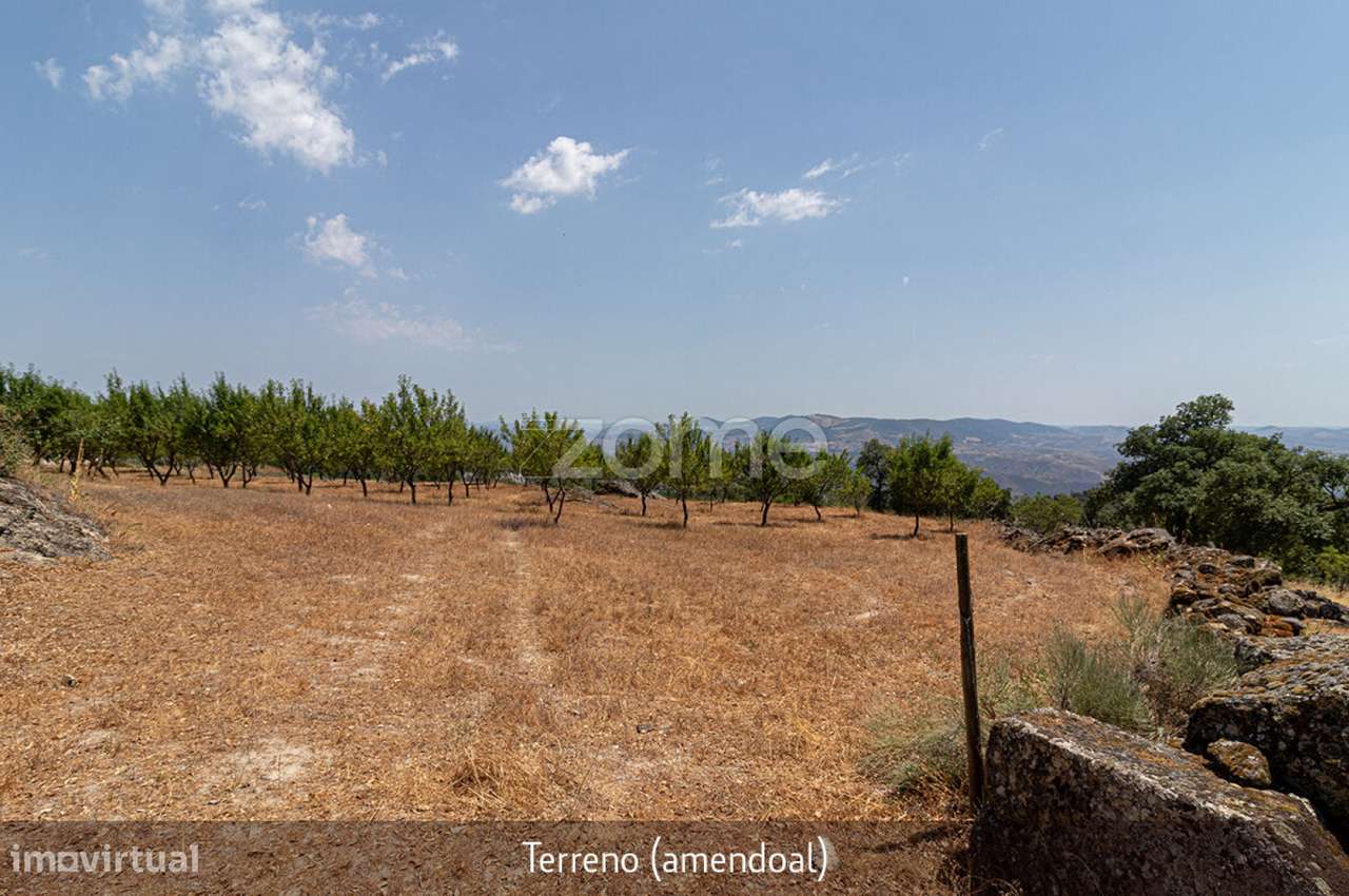 Quintinha - Lousa, Torre de Moncorvo, Portugal - Grande imagem: 4/40