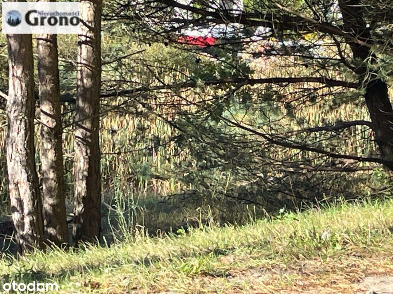 Dzialka Budowlana Uslugowa z Wz-14