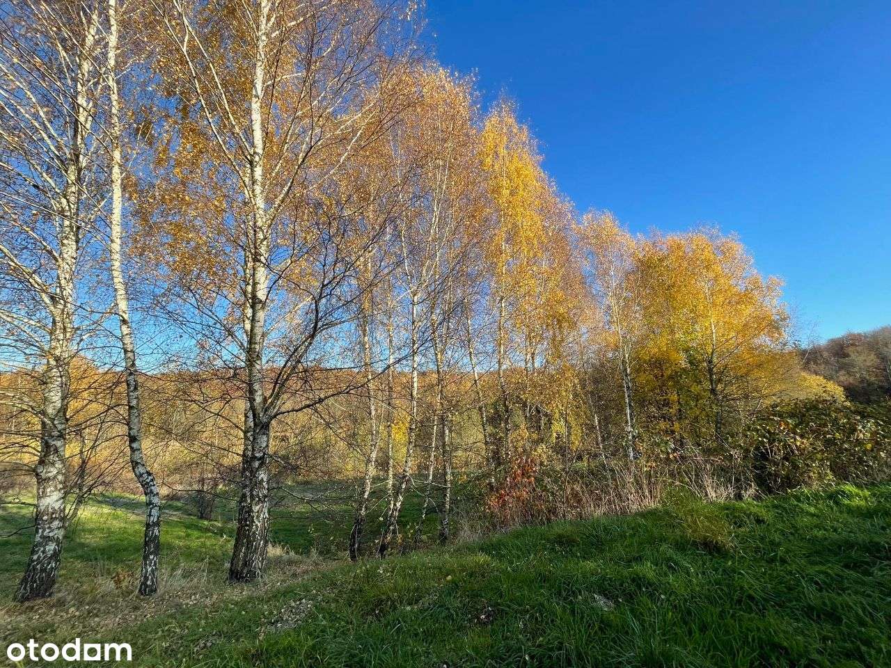Działka o pow.1 ha - ul. Św.Marcina - Okazja!-12