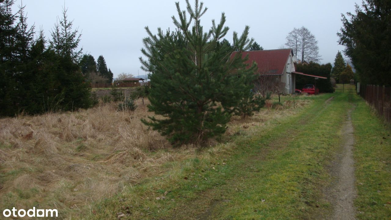 Zamienię działkę 1300 m2 w Nadolu , na mieszkanie