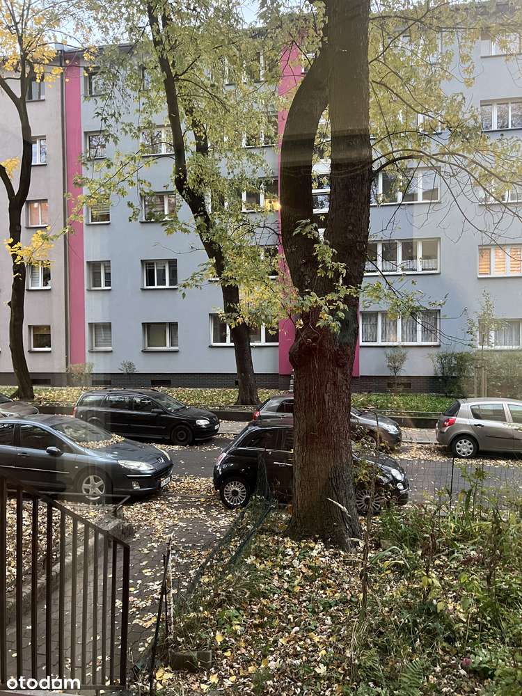 Bytom-Fałata/Grabowa mieszkanie po remoncie sprzedam-5