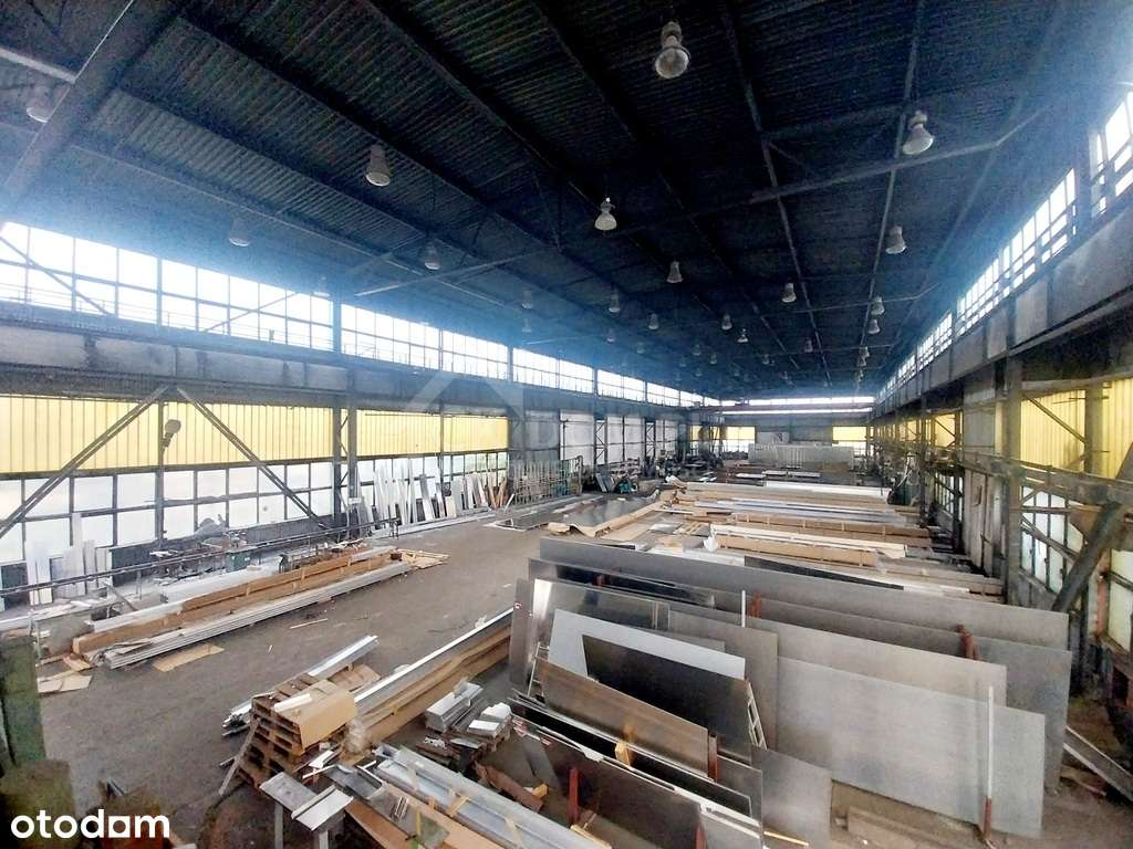 Hala magazyn do wynajęcia - Pełny obrazek: 4/9