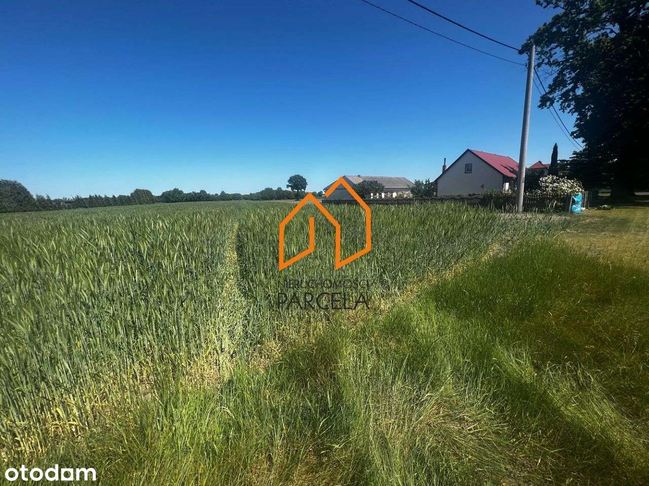 Działka pow. 8 234 m2, Murzynowo Leśne. - Pełny obrazek: 4/5