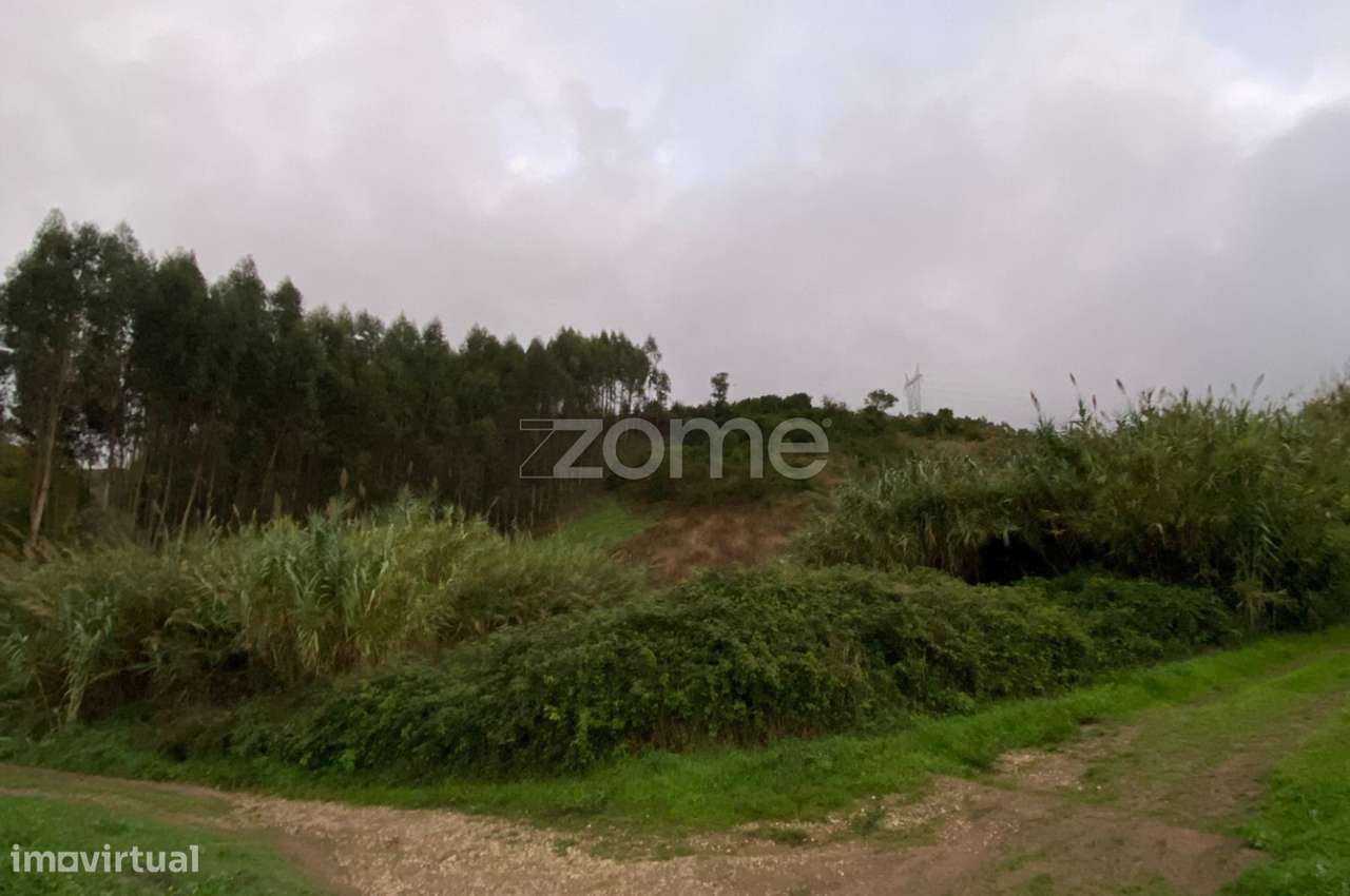 Terreno Rústico 1,6520 ha em Torres Vedras - Grande imagem: 2/15