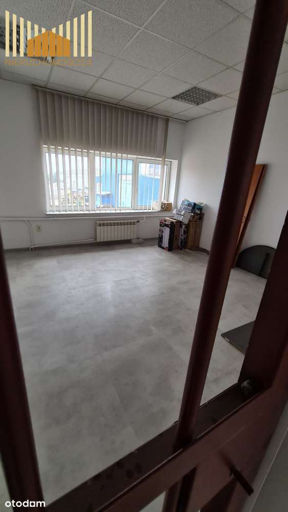 213653 - Pełny obrazek: 5/8