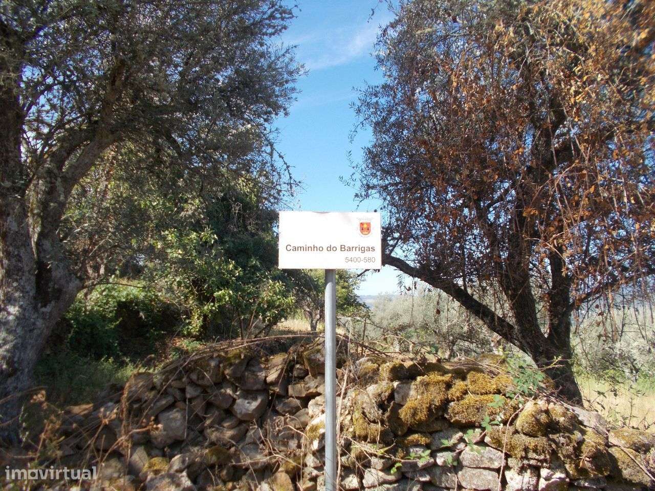 Chaves Quinta Vista Panorâmica-15