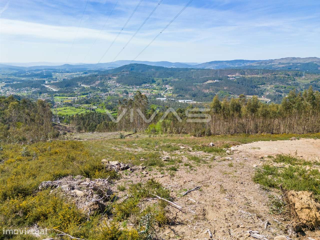 Terreno Rústico  Venda em Anais,Ponte de Lima - Grande imagem: 4/26