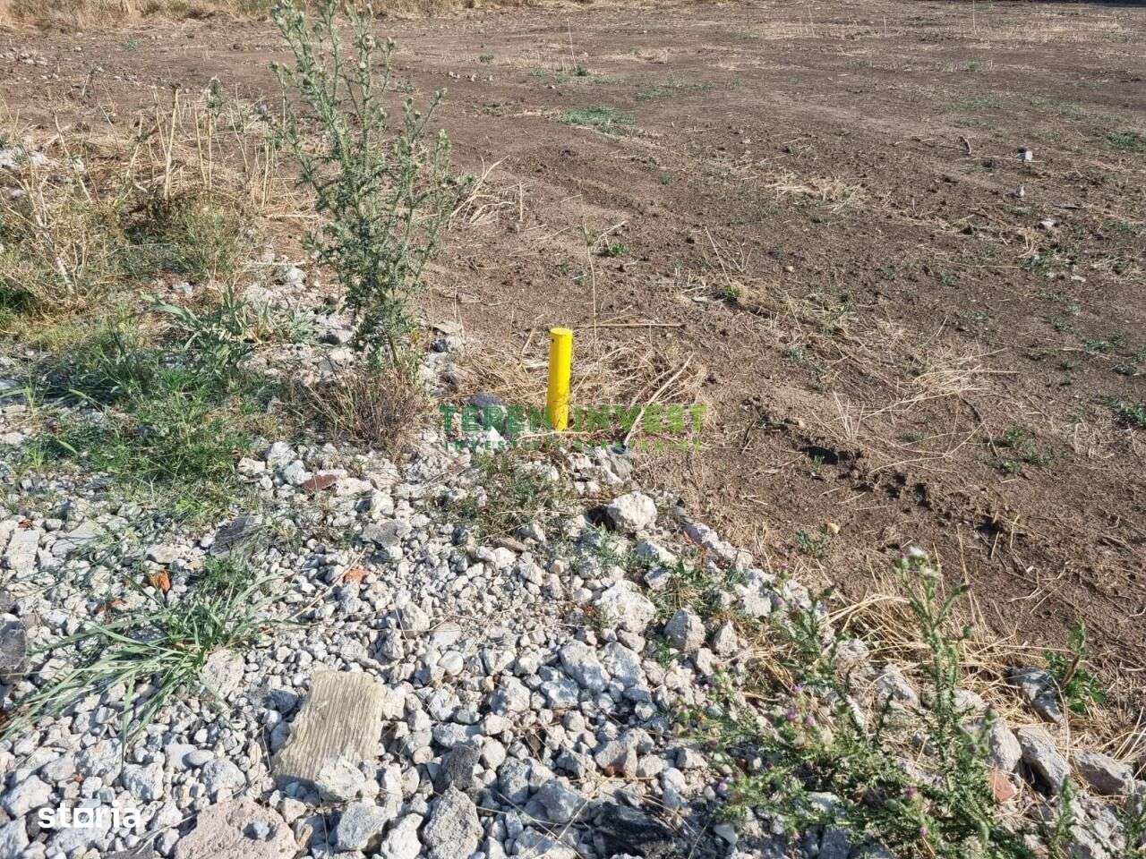 DN 4 Frumusani - Proprietar ofer spre vanzare teren 500 mp-3