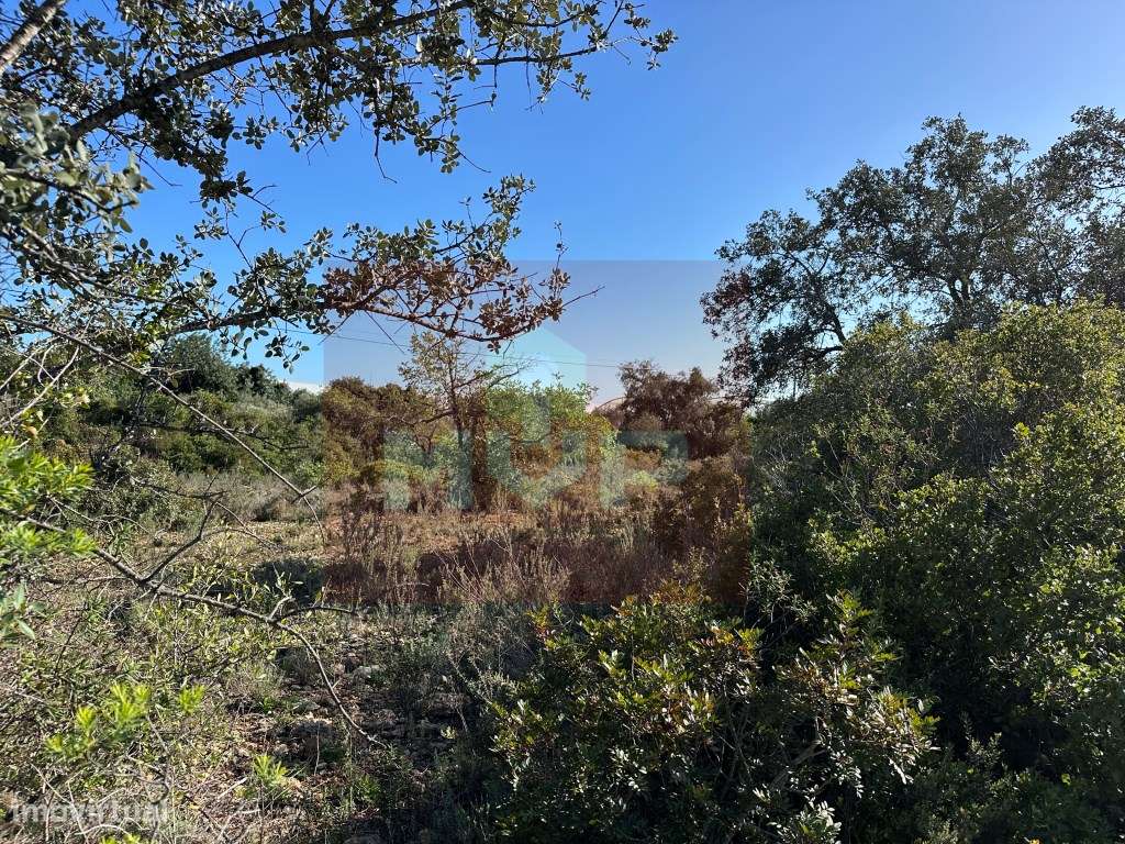 Terreno rústico em Estoi - Grande imagem: 4/10