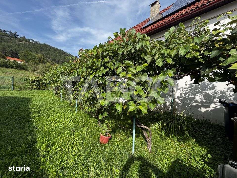 Casa saseasca de vanzare + bonus doua terenuri Seica Mare Sibiu-5