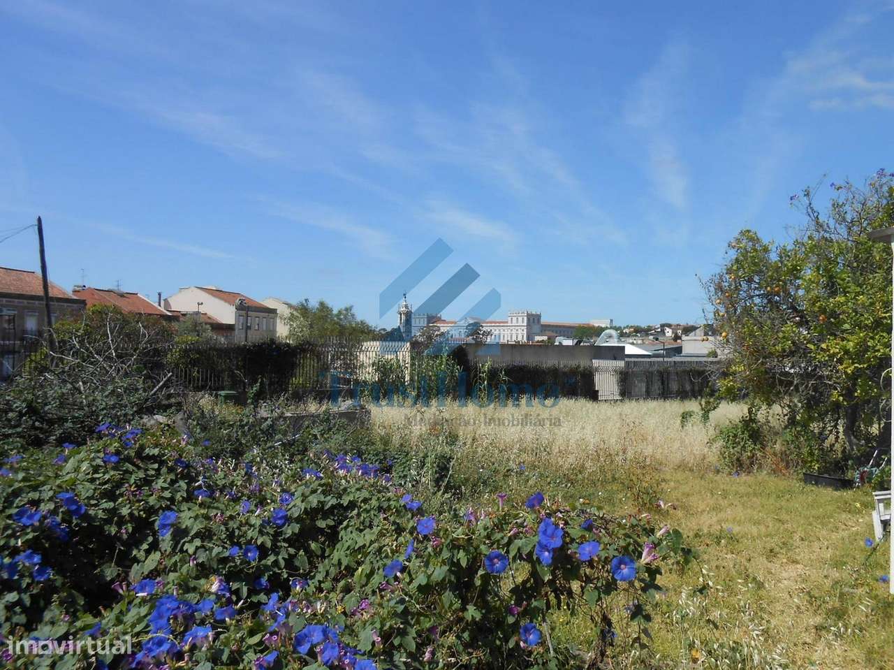 Terreno Rústico em Ajuda Lisboa - Grande imagem: 2/21