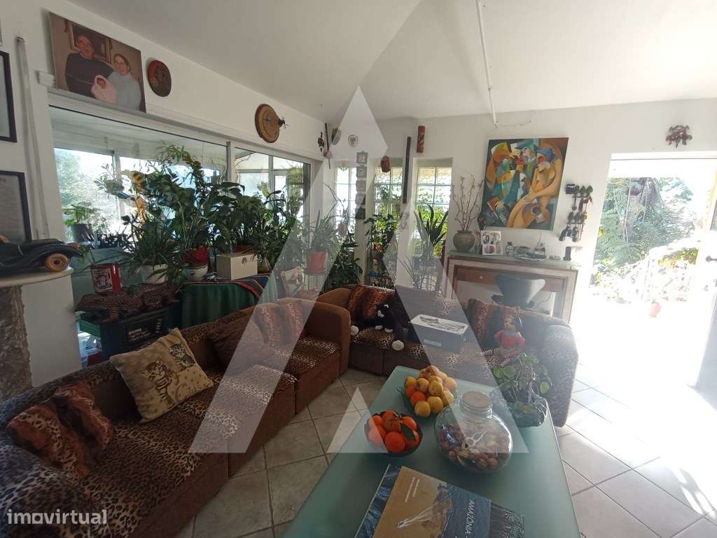 Quinta com moradia T3 - próximo de Aveiro. - Grande imagem: 5/37