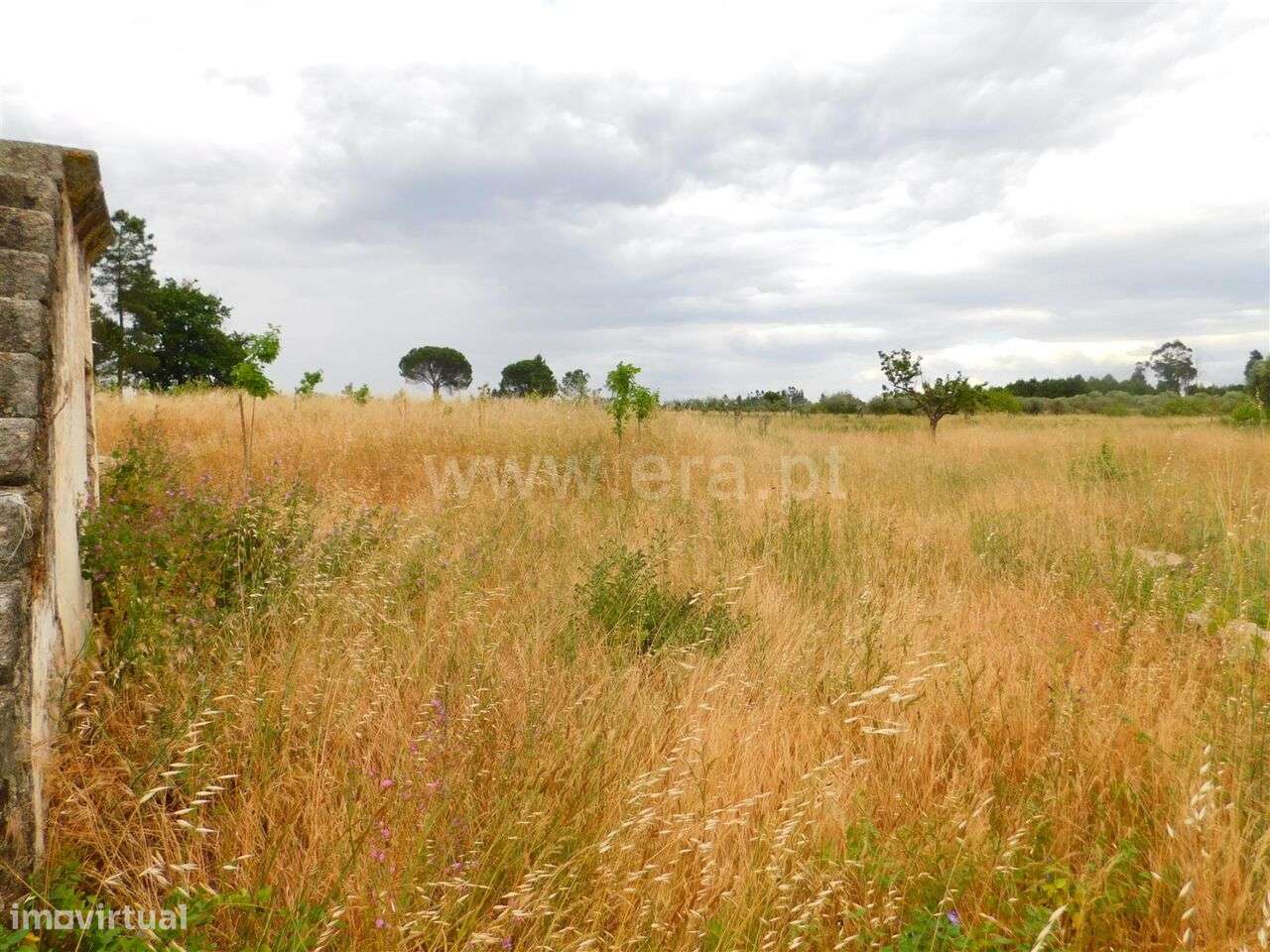 Quinta / Seia, Tourais e Lajes - Grande imagem: 5/12