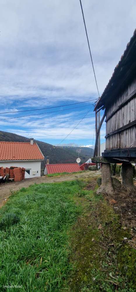 Casa/Arrecadação em Pedra com Espigueiro - Lazarim,Lamego - Grande imagem: 3/7