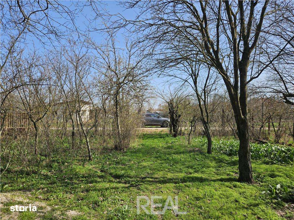 Teren ideal pentru constructie - Frumusani - drum asfaltat - Imagine principală: 4/7