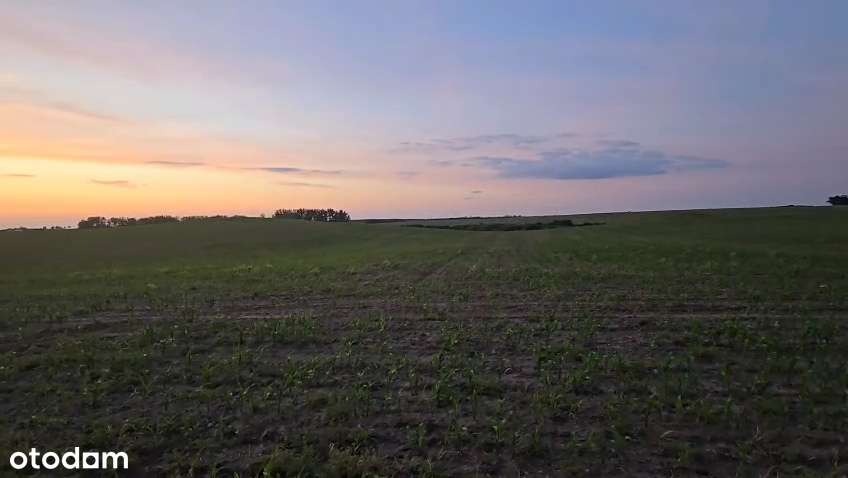 1z 2 domów jednorodzinnych90 m2 w Dolsku, pełne media, działka 1000m2-11