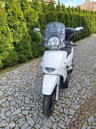 Aprilia Scarabeo - 14