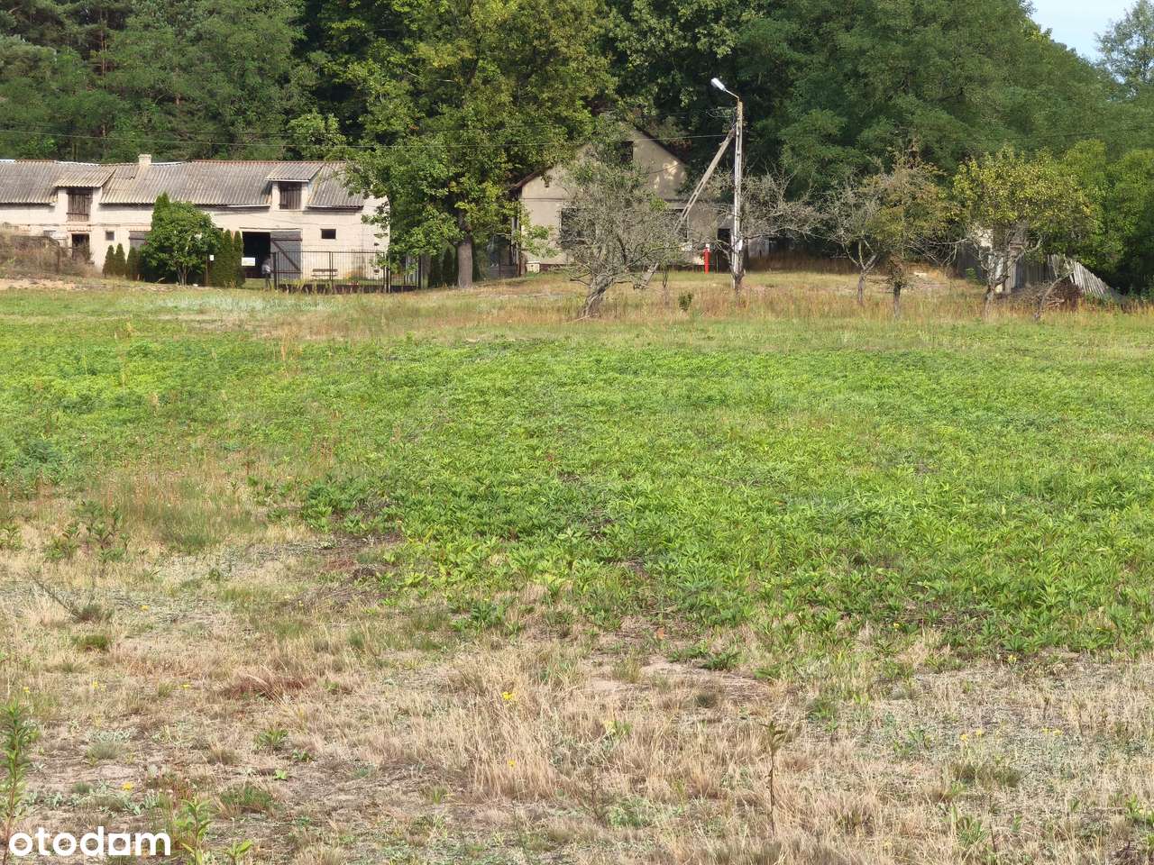 Działka budowlana w Ostrówku gm.Dąbrówka-8