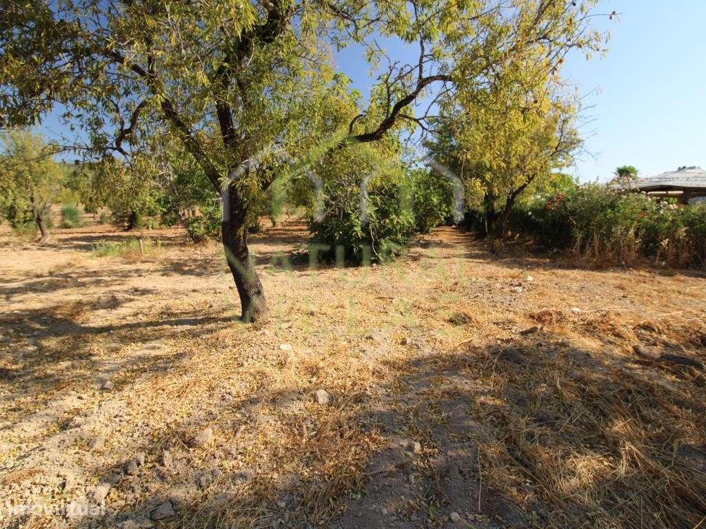 Casa Antiga e Terreno em Guilhim, Estoi - Grande imagem: 5/8