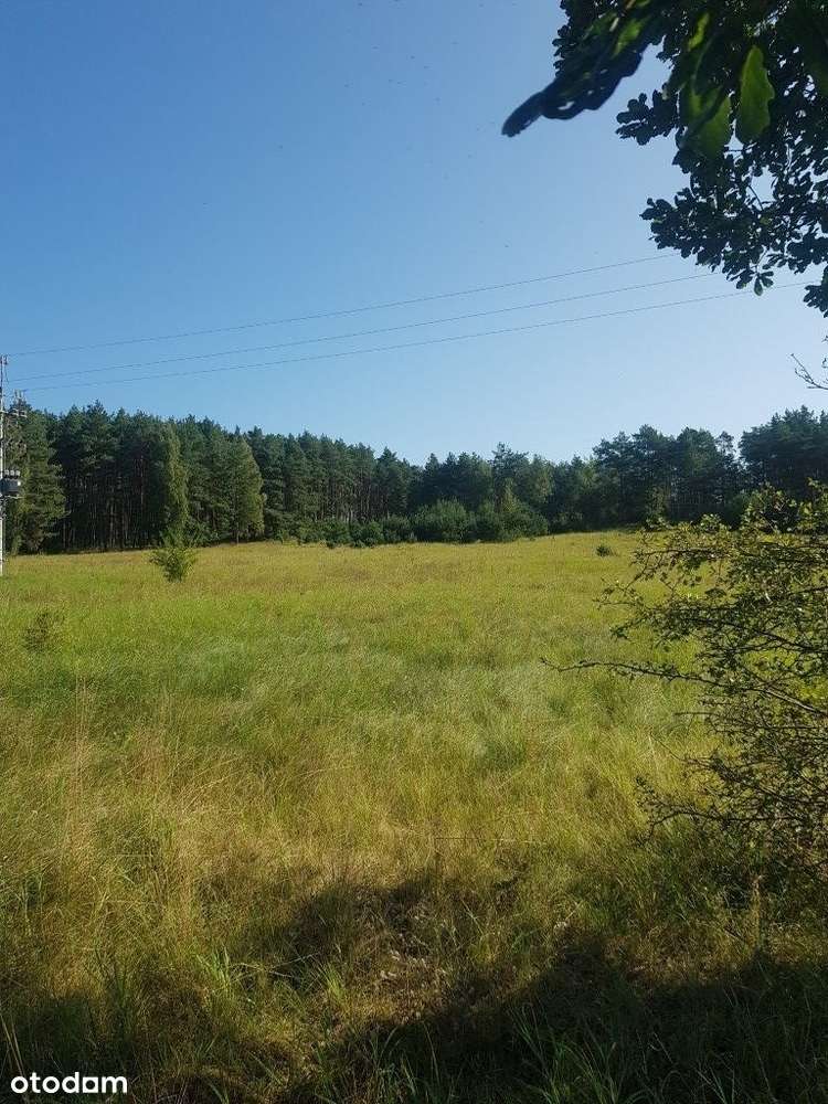 ZOSTAŁY TYLKO 4! Pszczew - 400m od jeziora - Pełny obrazek: 4/10