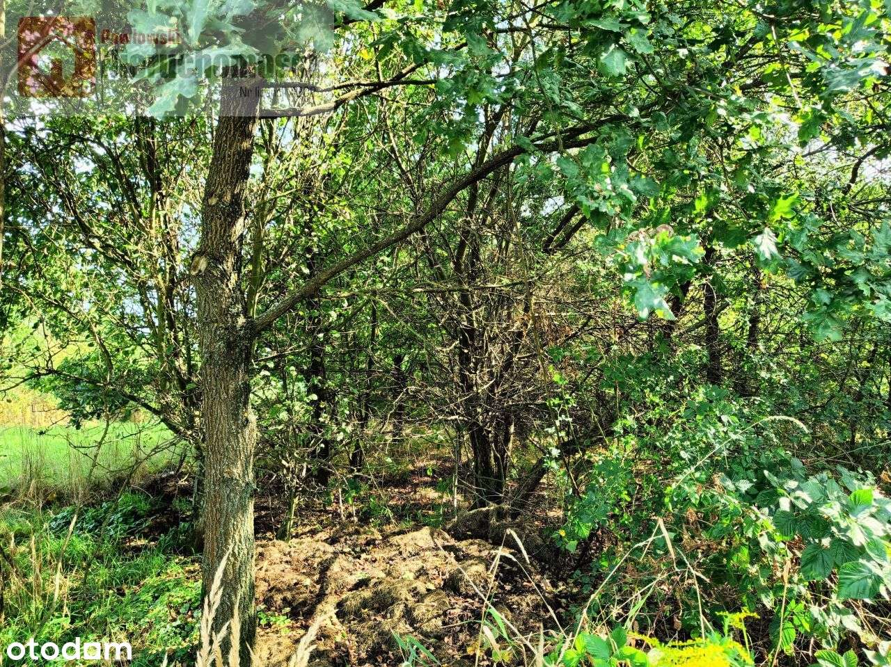 Działka, 2 200 m², Wola Radziszowska - Pełny obrazek: 5/7