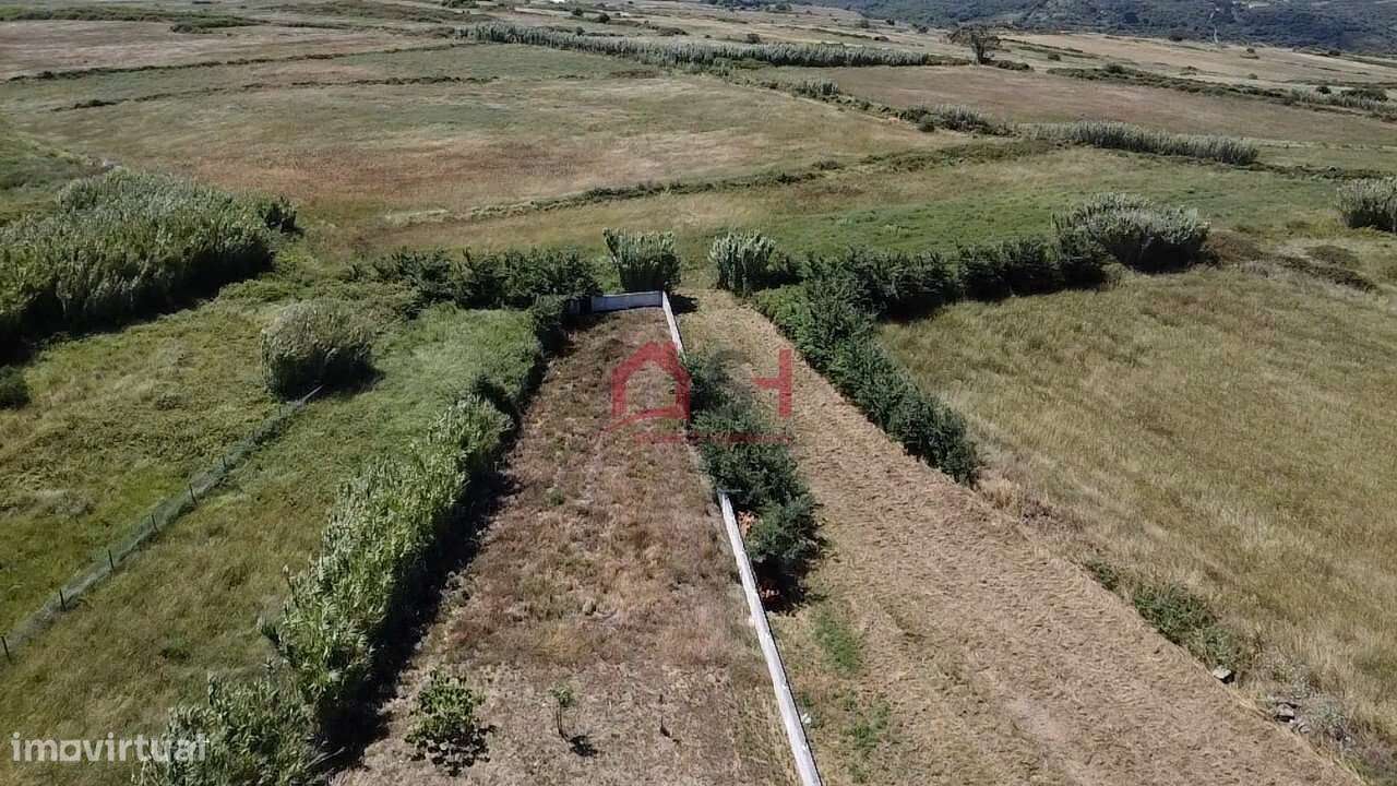 Quinta Exclusiva com Piscina e Mais de 3.700 m² em Assafora-47