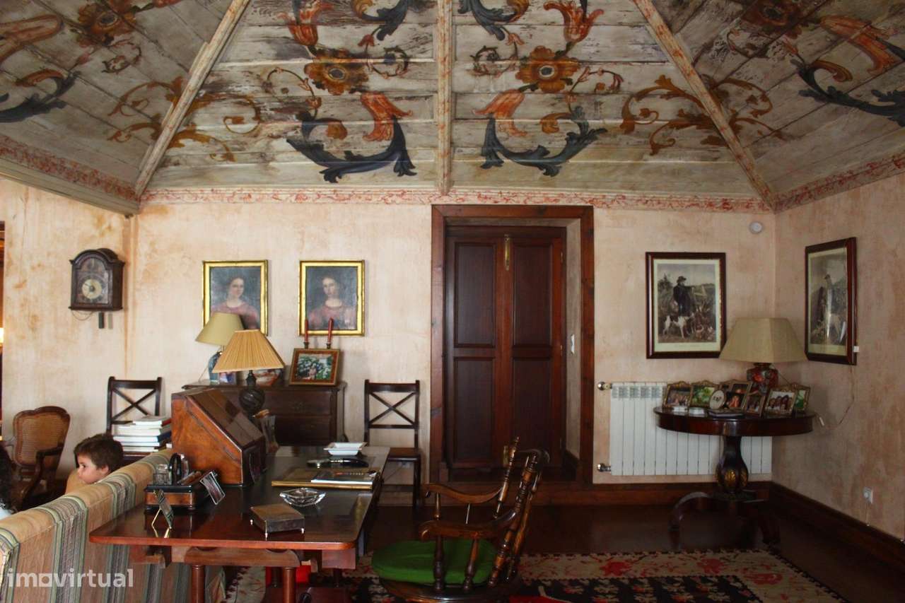 Solar do sec. XVII em Mesquitela, Mangualde-43