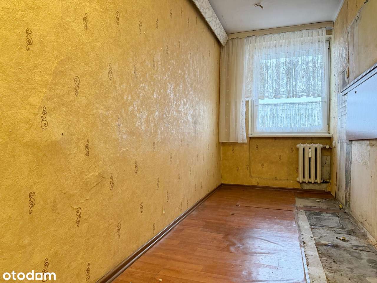 Fajny układ/Widok na zachód/Przy wejściu do Parku Śląskiego - Pełny obrazek: 4/7