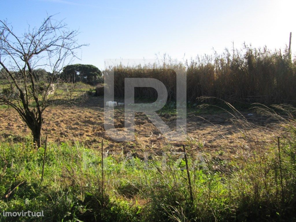 TERRENO URBANO EM PAIO PIRES