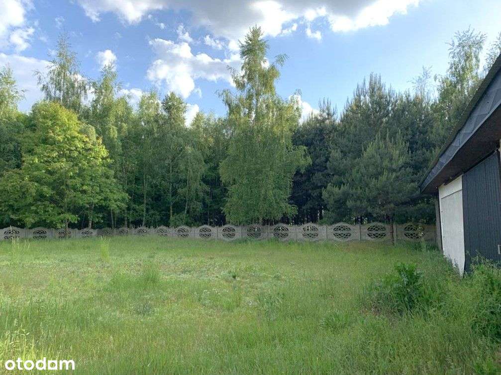 dom w środku lasu gm. Izbica Kujawska woj Kujawsko-12