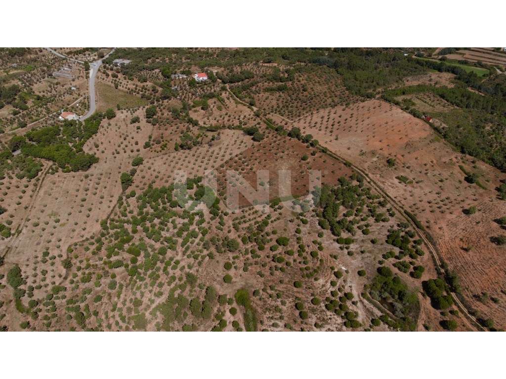 Herdade com 34 Hectares-33