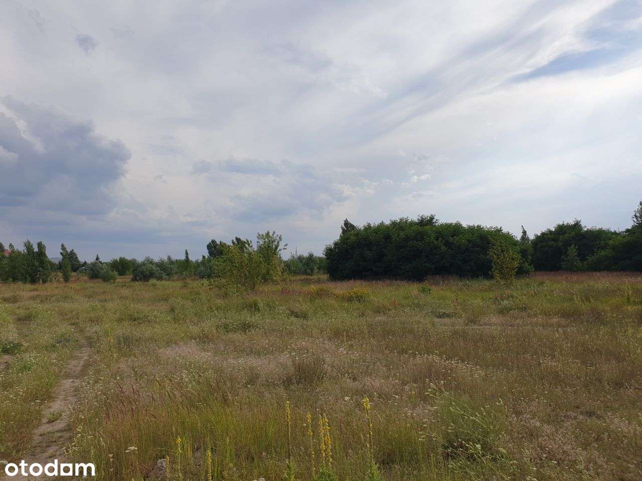 Działka zabudowa wielomieszkaniowa MPZP "3MW/U" - Pełny obrazek: 5/6