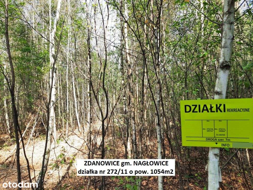 Tania działka rekreacyjna 1054m2 (plan) cena 54.900zł (f-ra 23% VAT)-18
