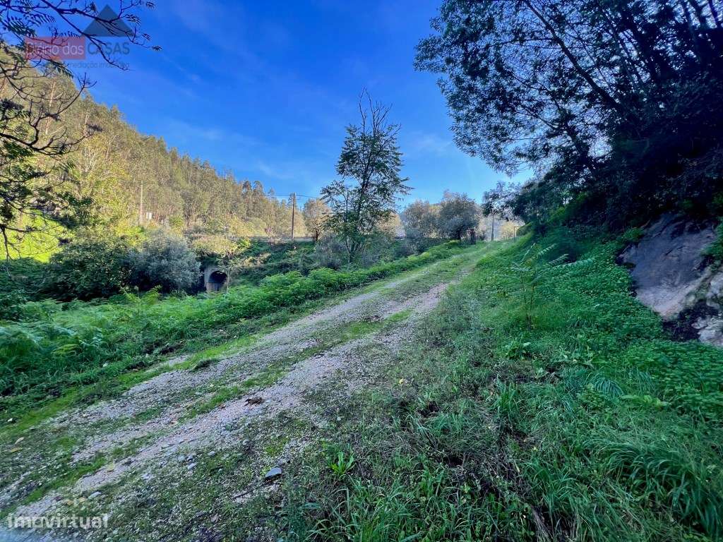 Lagar em Coimbra - Torres do Mondego (Coimbra) Portugal-21