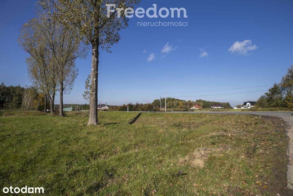 Działka inwestycyjna przy Dk94 – Machowa-6