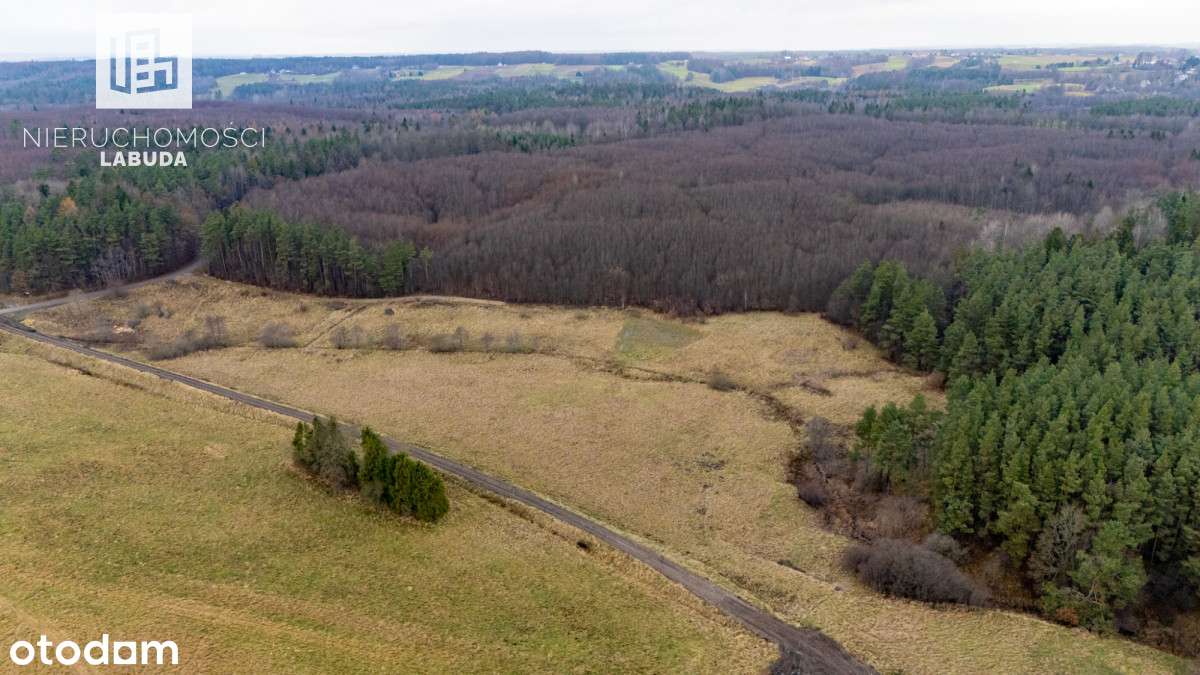Widokowa działka z WZ przy lesie – Prokowo - Pełny obrazek: 2/7