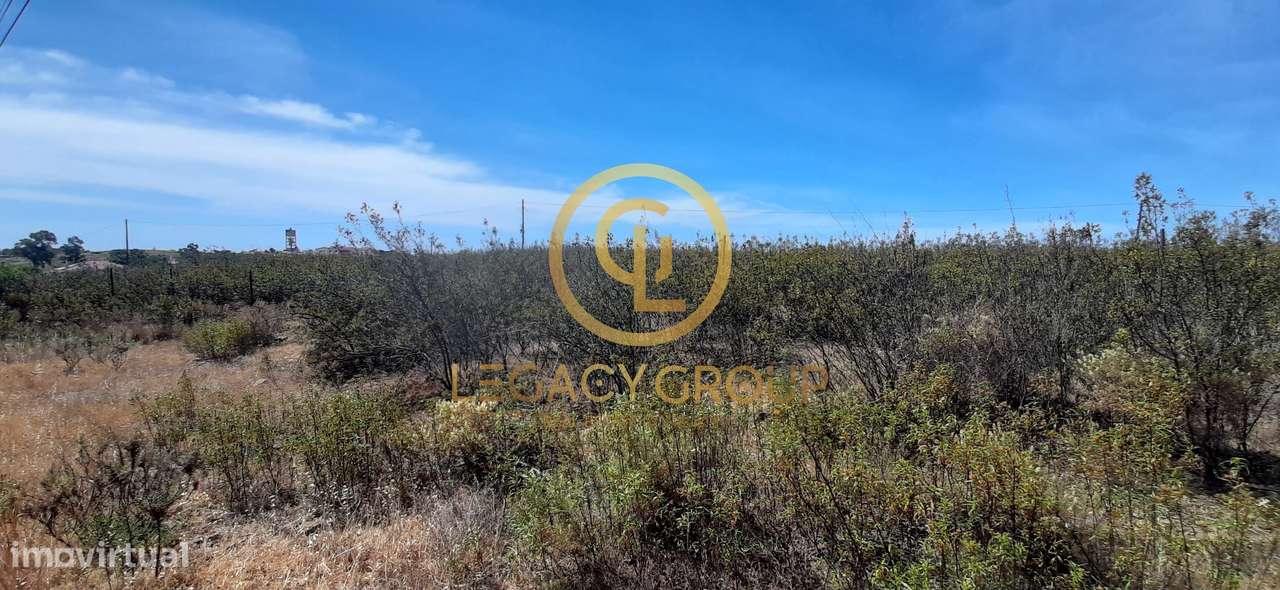 Terreno Rústico Azinhal / Castro Marim-14