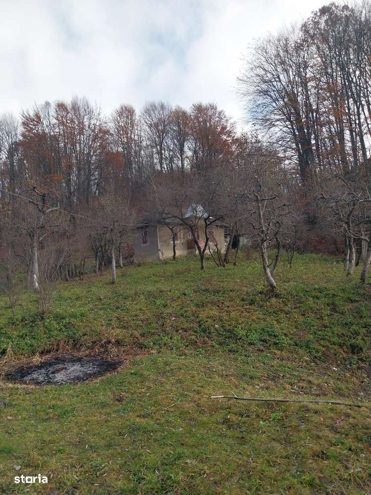 Teren de vanzare 2200 mp, Raul Alb ,DB - Imagine principală: 1/7