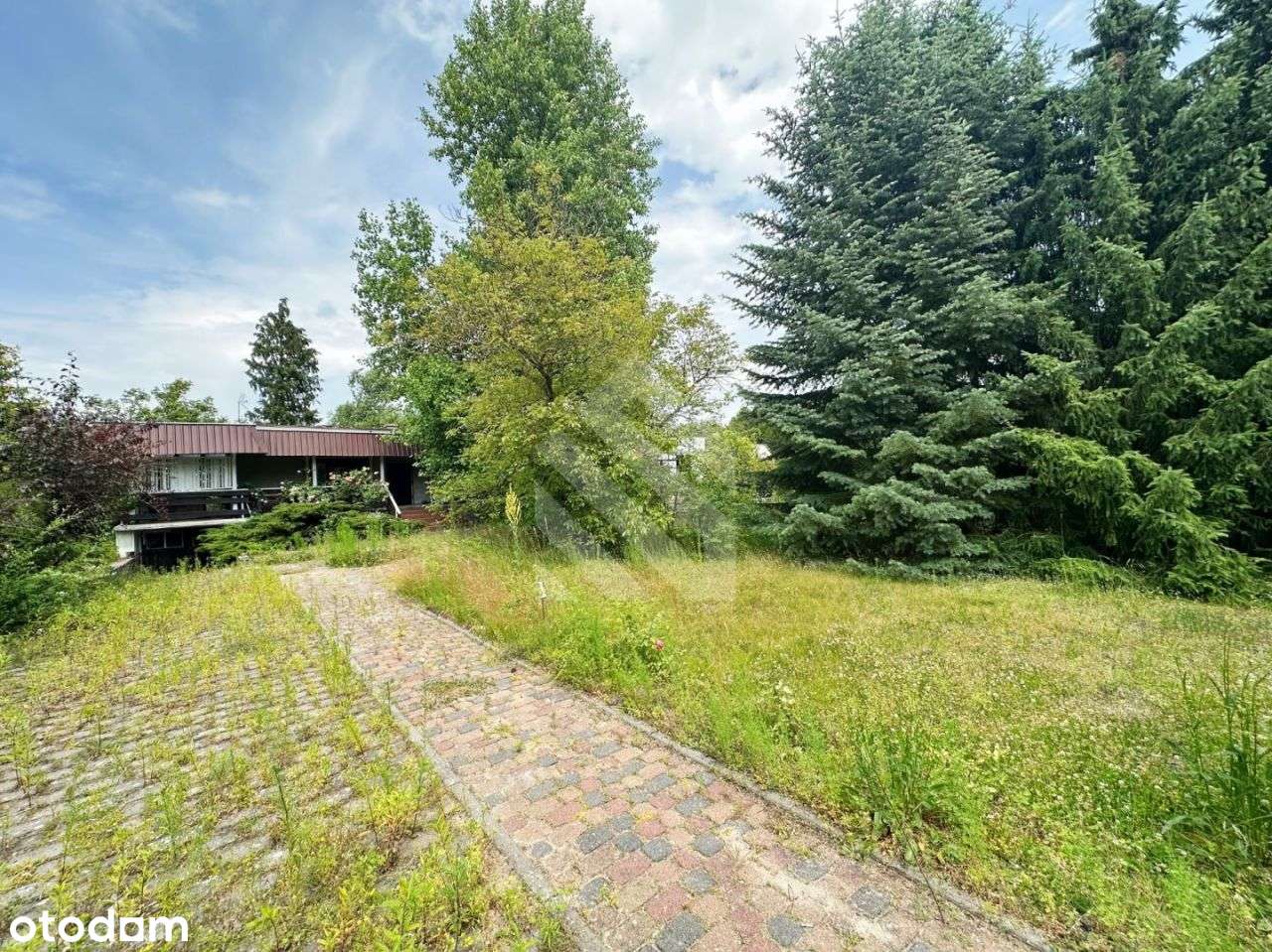 Duży domek 70m2 na działce 700m2 - Rod Drzewianowo - Pełny obrazek: 4/10